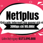 Net1plus
